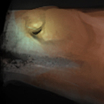 where are my other legs?